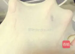 Big Mac Hamburger Bread Recipe Illustration 3