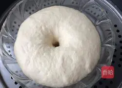 Walnut and cranberry soft European buns (medium seeding method) illustration 2