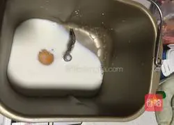 Kuaishou Mini Pizza Recipe Illustration 2