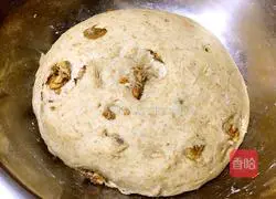Whole wheat nut bread recipe 5