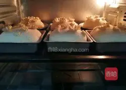 Whole wheat bread recipe 8