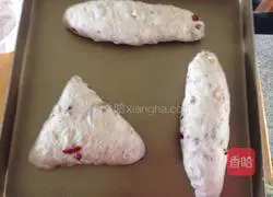 Walnut Cranberry Bread Recipe Illustration 5