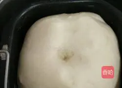 Illustration of how to make bear bread 8