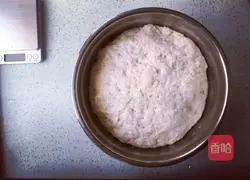 Honey baguette recipe 2