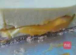 Mango Mousse Recipe Illustration 13