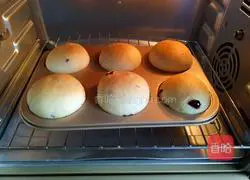 Illustration of how to make cranberry meal buns 10