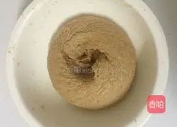 Whole wheat bread flour chocolate chip cookies recipe illustration 5