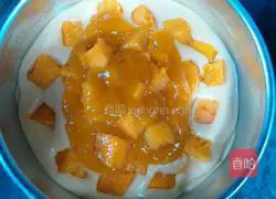 Mango Mousse Recipe Illustration 8