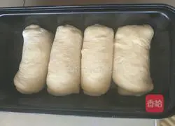 Whole wheat bread recipe 13