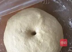 Yoghurt whole wheat bread recipe 3