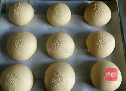 Honey mini Illustration of how to make bread 4