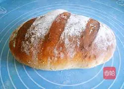 Soft European Bread Recipe Illustration 17