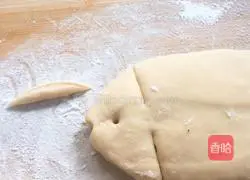 Illustration of making fish bone bread 10