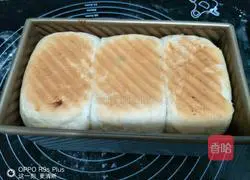 Yoghurt Raisin Toast Bread Recipe Illustration 12