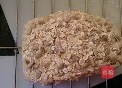 Hakon Bread (Nut Yellow Heart Sweet Potato Soft European) Recipe Illustration 5