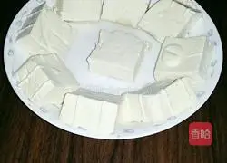 Illustration of making homemade braised tofu 5