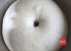 Whole wheat lava cheese bread recipe 2