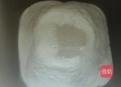 Cheese Sandwich Bread Recipe Illustration 3