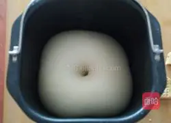 Illustration of how to make borscht bread 6