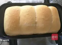 Whole wheat bread recipe 16