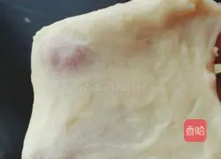 Milk Flower Bread Recipe Illustration 3