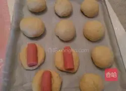 Illustration of how to make scallion cheese and ham bread 10