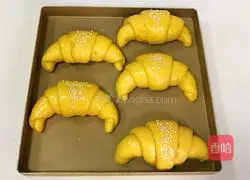 Whole wheat pumpkin croissant recipe 14