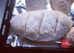 Honey baguette recipe 6