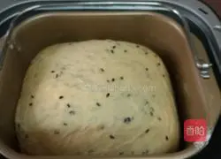 Toast Bread Recipe Illustration 4