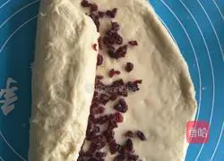 Cranberry Bread Recipe Illustration 11
