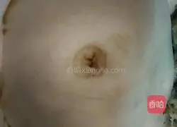 Christmas Wreath Bread Recipe Illustration 3