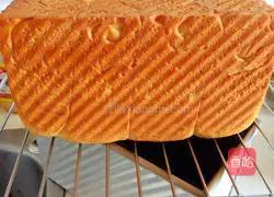 Whole wheat bread recipe 7