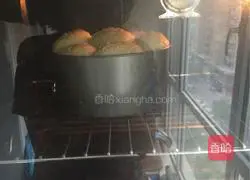 Illustration of how to make squid cheese flower bread 16