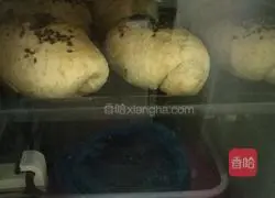 Illustration of making homemade whole wheat bread 12