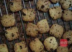 Cranberry Cookie Recipe Illustration 11