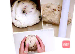 Nuts and wheat Illustration of how to make germ European bread (country bread) 3