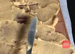 Cocoa Jam Cake Roll Recipe Illustration 16