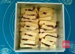 Illustration of how to make yogurt cranberry shredded bags 13