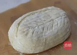 No-knead country European bread Illustration of practice 16