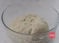 Illustration of how to make country European buns without kneading 4