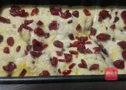 Coconut Cranberry Bread Recipe Illustration 13