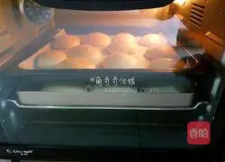 Illustration of how to make meat floss cake 12