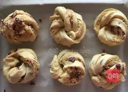 Coconut Cranberry Bread (Hand Kneaded Dough) Recipe Illustration 10