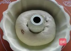 Whole wheat raisin bread recipe 5