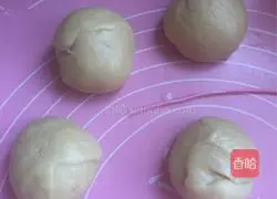 Rabbit Bread Recipe Illustration 6