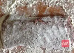 Michel's cocoa bread (no kneading) recipe illustration 4