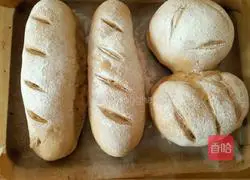 Illustration of how to make yam and walnut bread 14