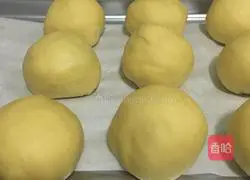 ( Ordinary flour) Illustration of making bean paste bread 11