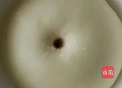 Illustration of how to grow coconut flower bread in the refrigerator 5