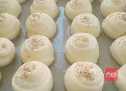 Honey bread recipe 12